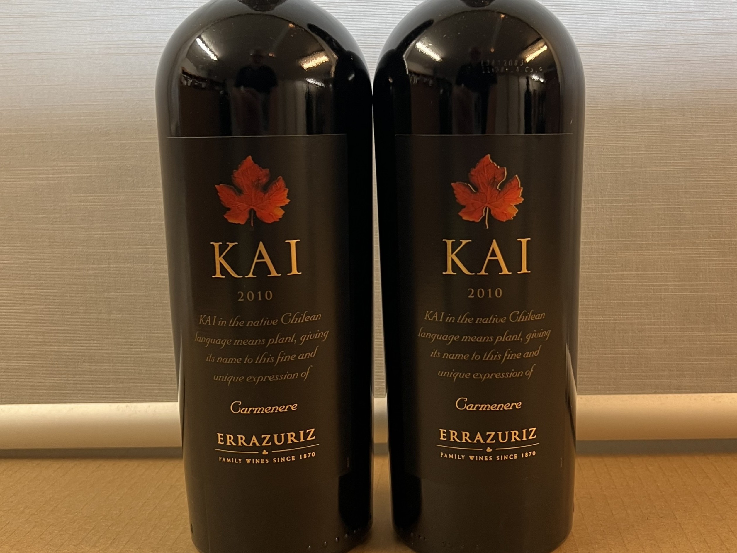 Kai Carmenere 2010, 2 Fl.