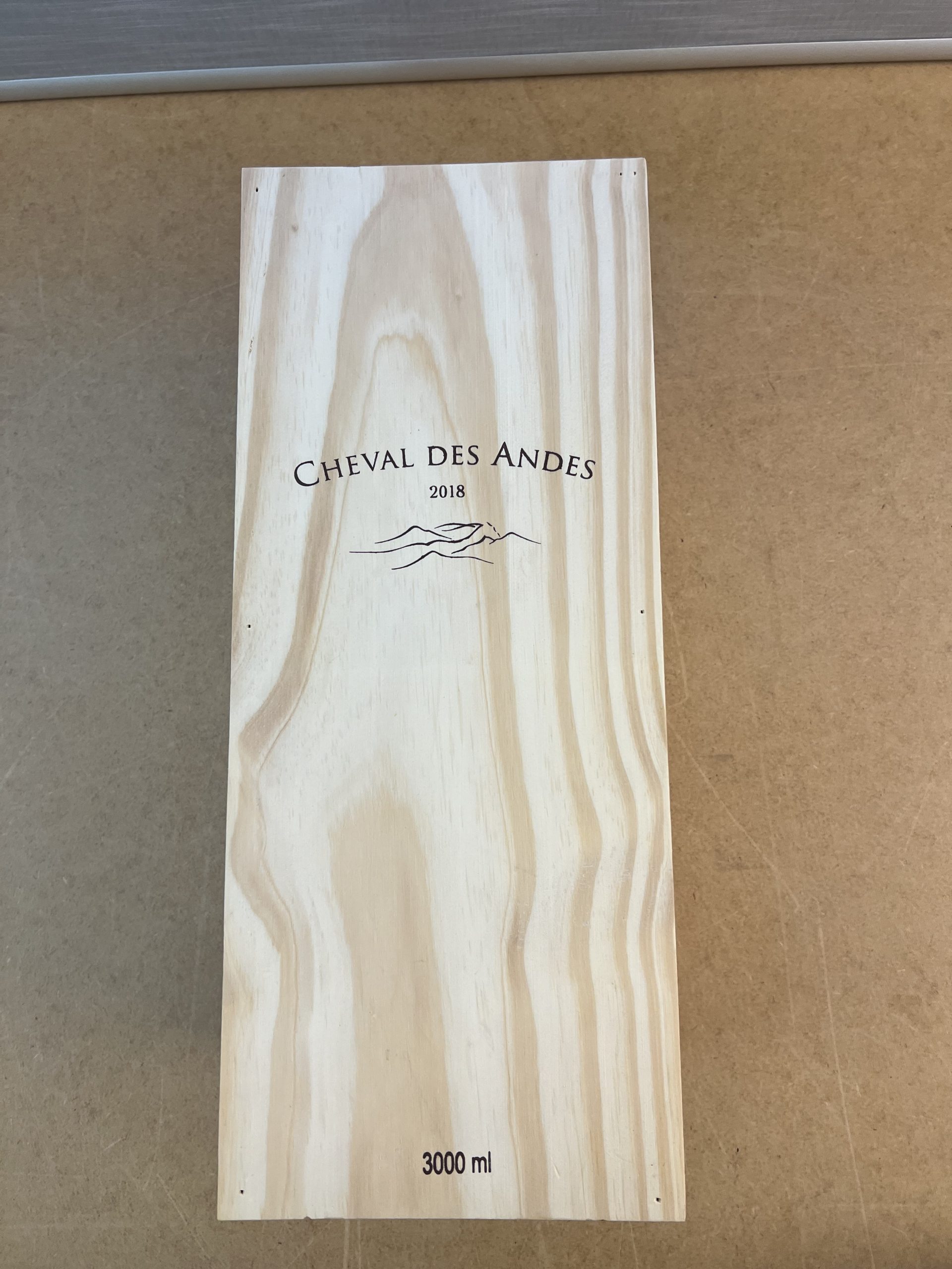 Cheval des Andes 2018, 1 DMG OHK – Bild 4
