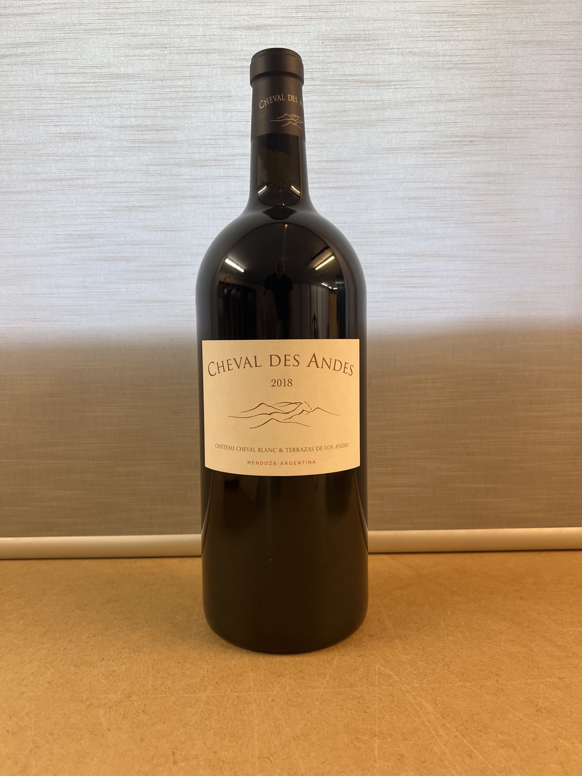 Cheval des Andes 2018, 1 DMG OHK – Bild 2