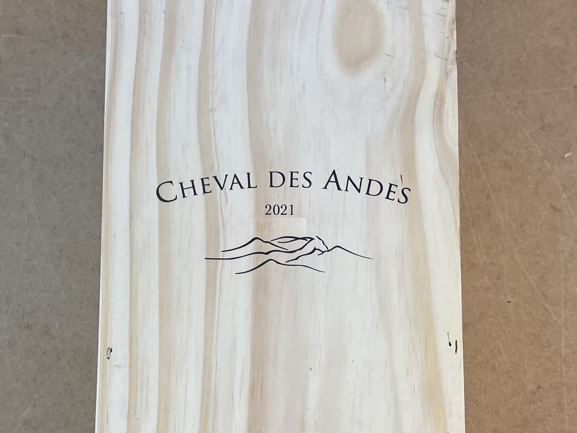 Cheval des Andes 2021, 1 DMG OHK