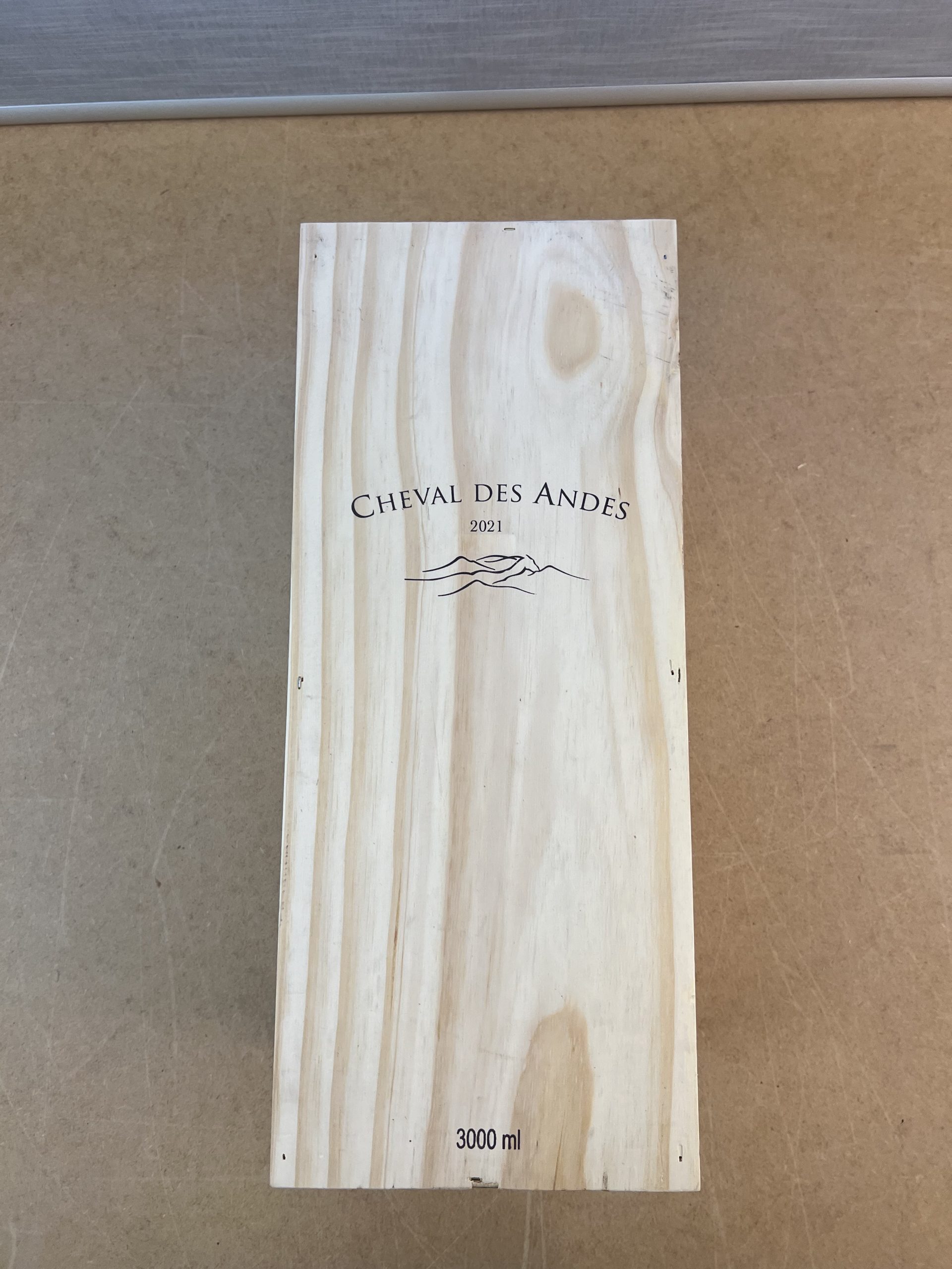 Cheval des Andes 2021, 1 DMG OHK – Bild 2